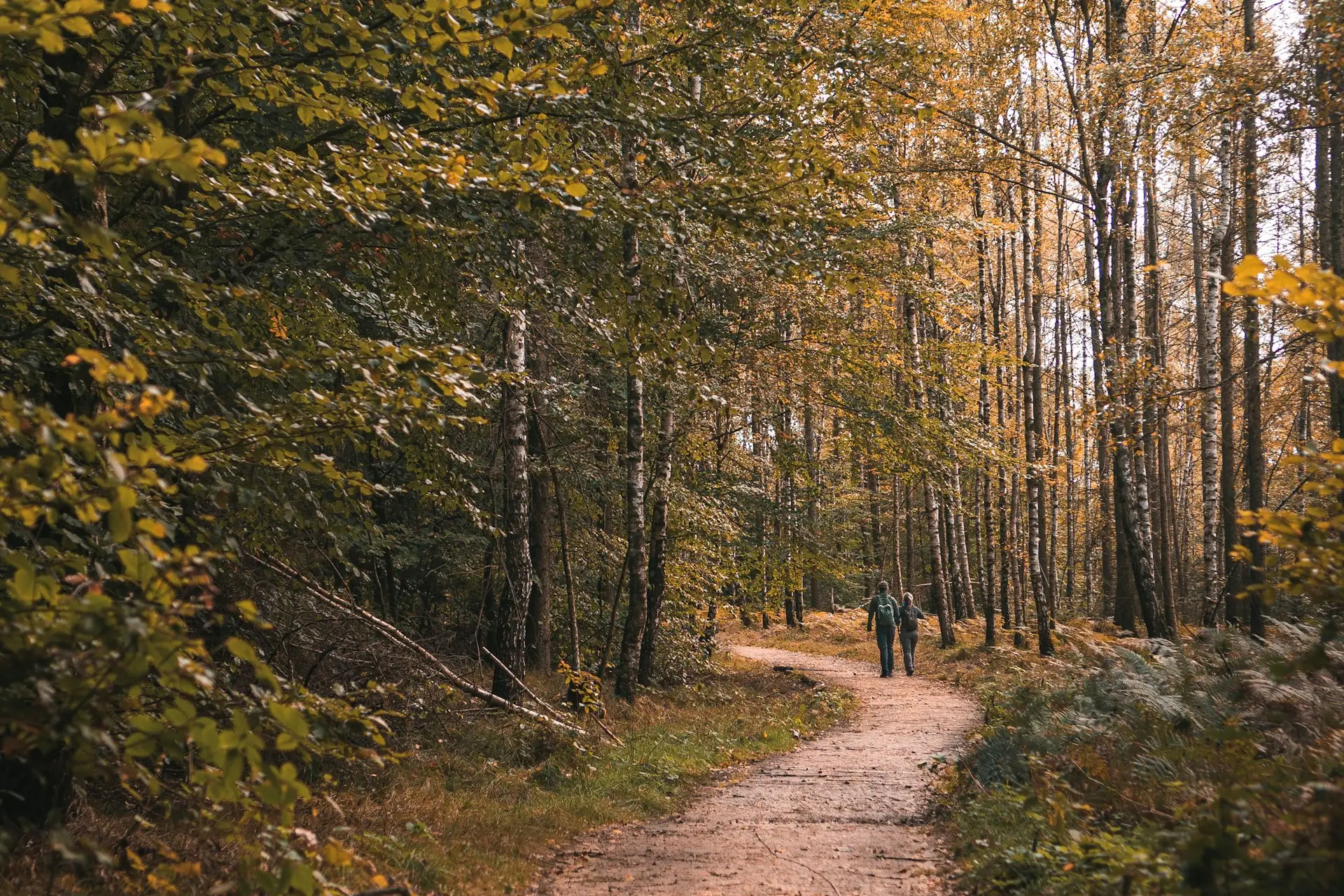 Wandern & Radfahren